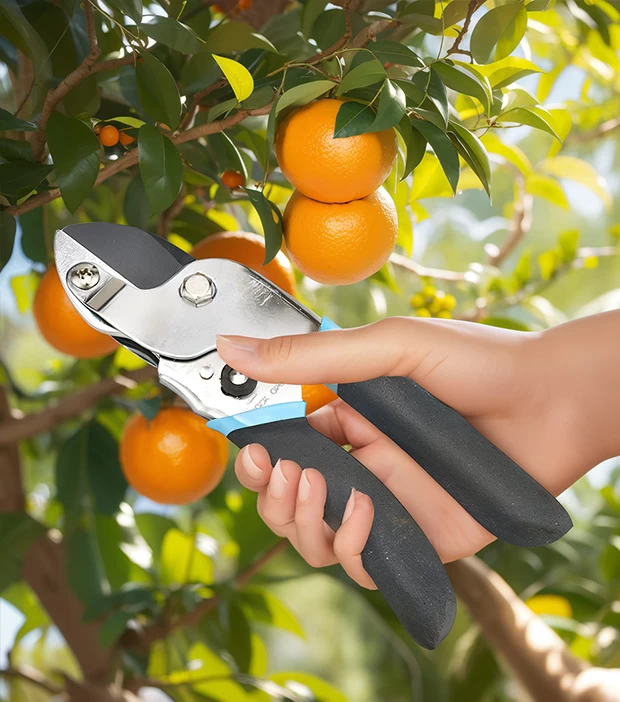 Hand pruner